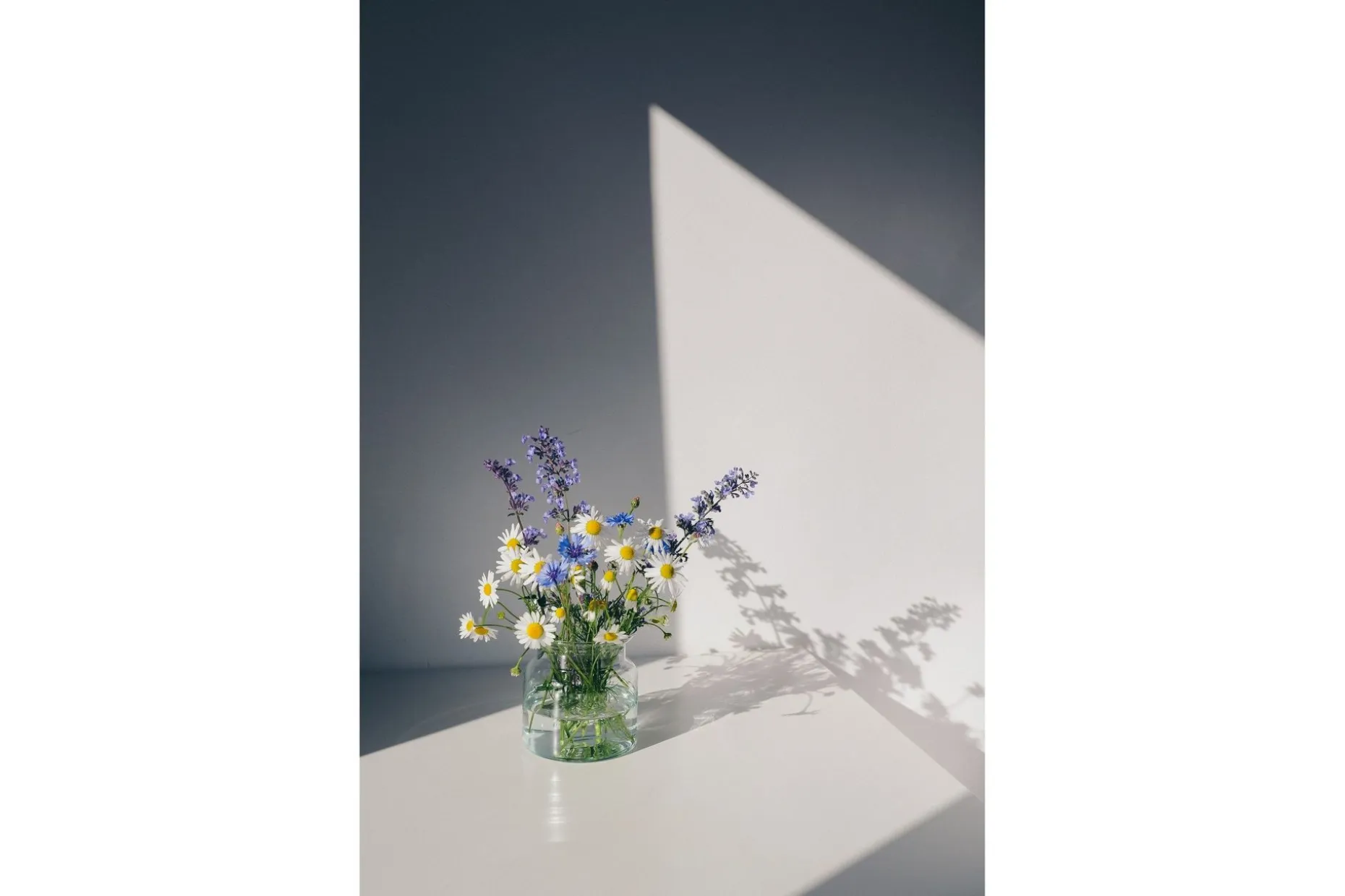 Poster Flowers 21x30 cm