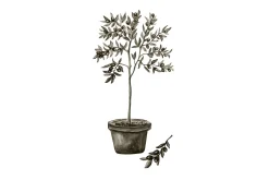 Poster Olive 21x30 cm