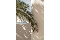 Poster Palmleaf 30x40 cm