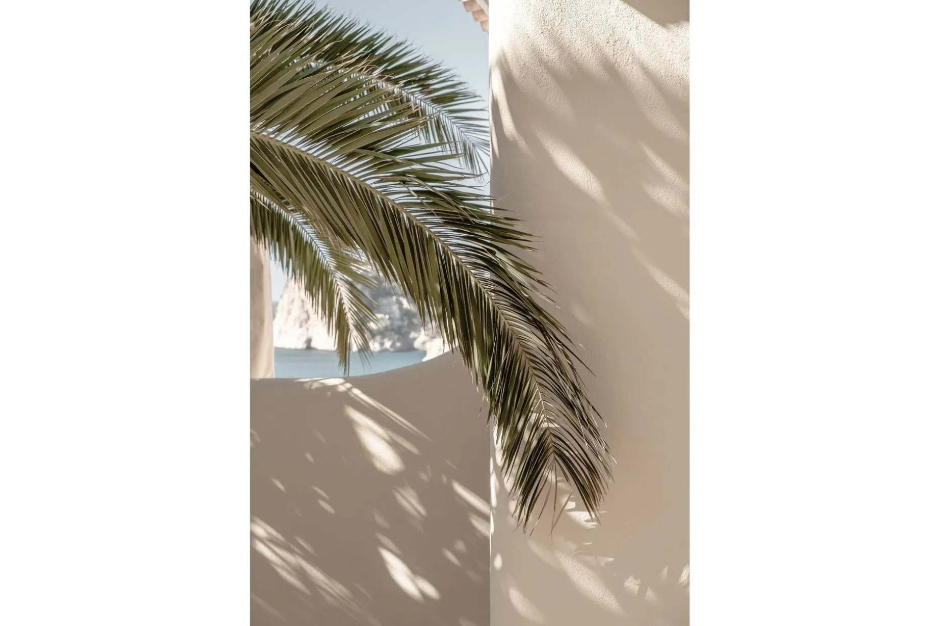 Poster Palmleaf 30x40 cm