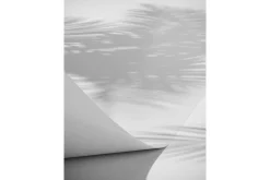 Poster Papyrus 70x100 cm