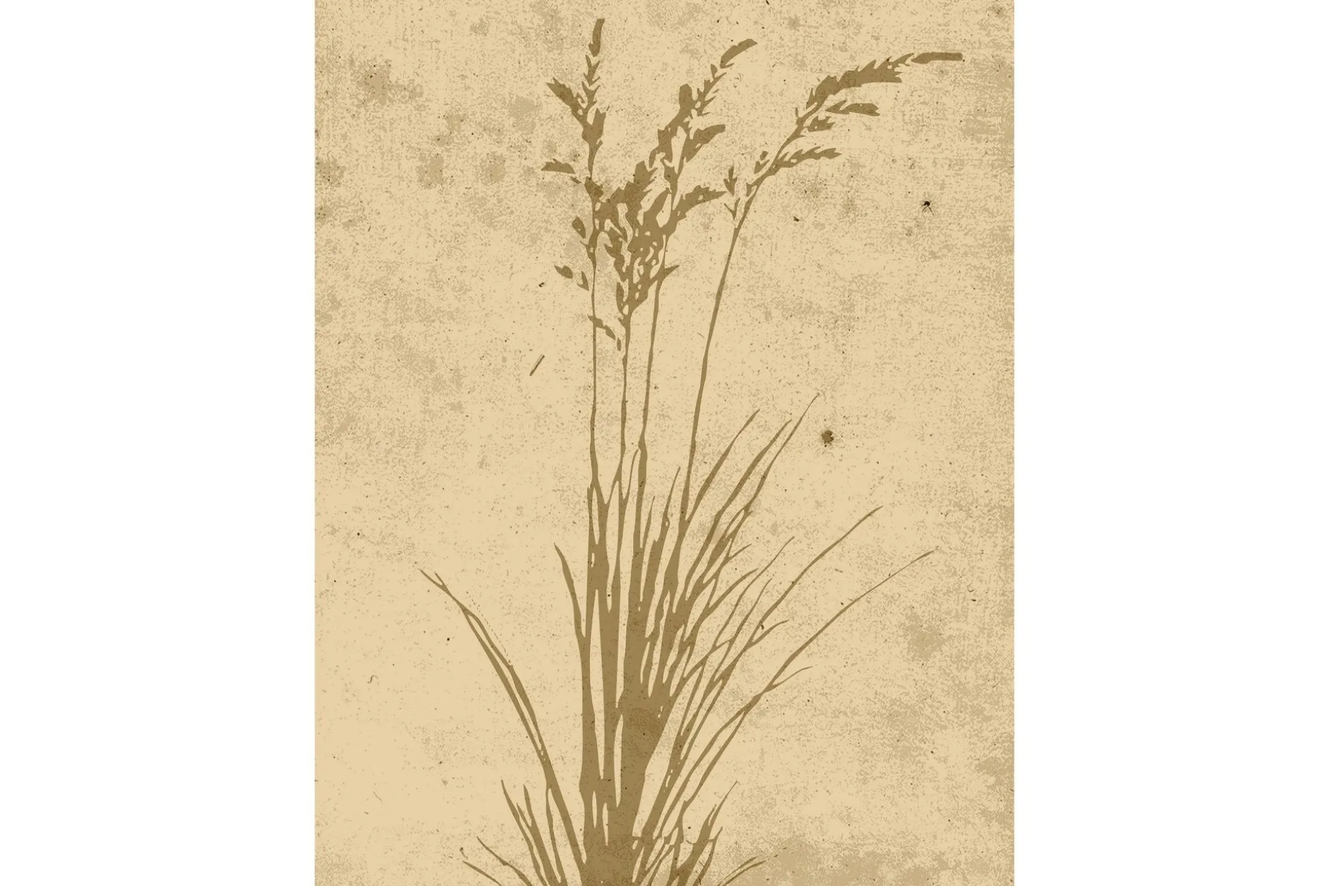 Poster Plant art 30x40 cm