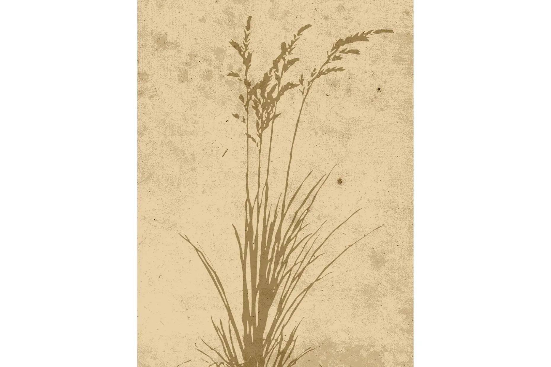 Poster Plant art 50x70 cm