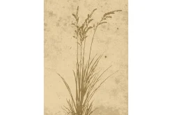 Poster Plant art 70x100 cm