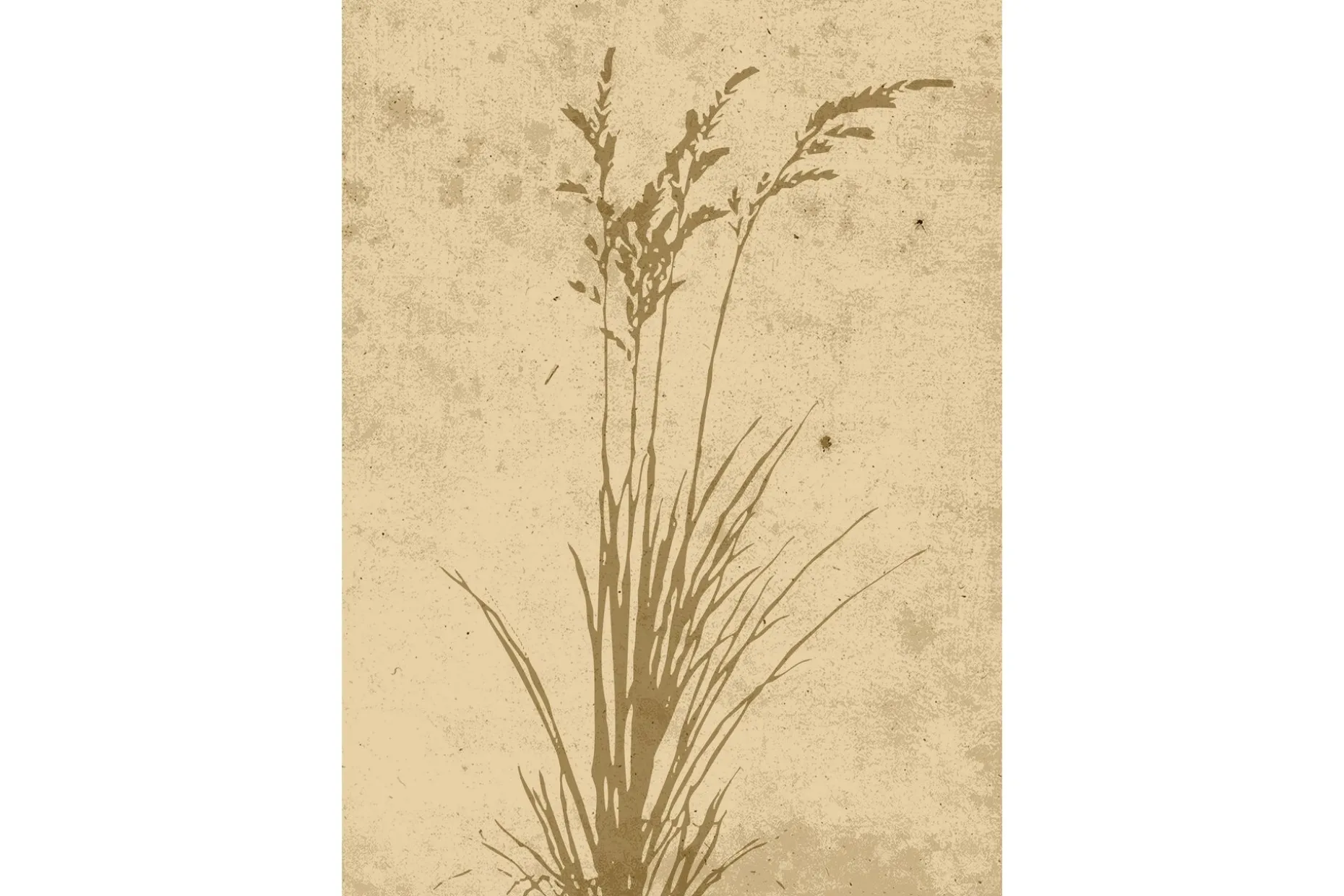 Poster Plant art 70x100 cm