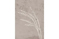 Poster Seeds 70x100 cm