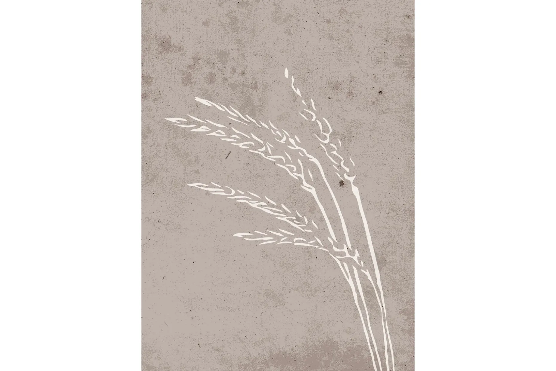 Poster Seeds 70x100 cm