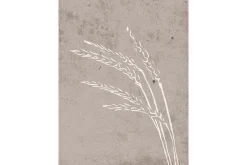 Poster Seeds 30x40 cm