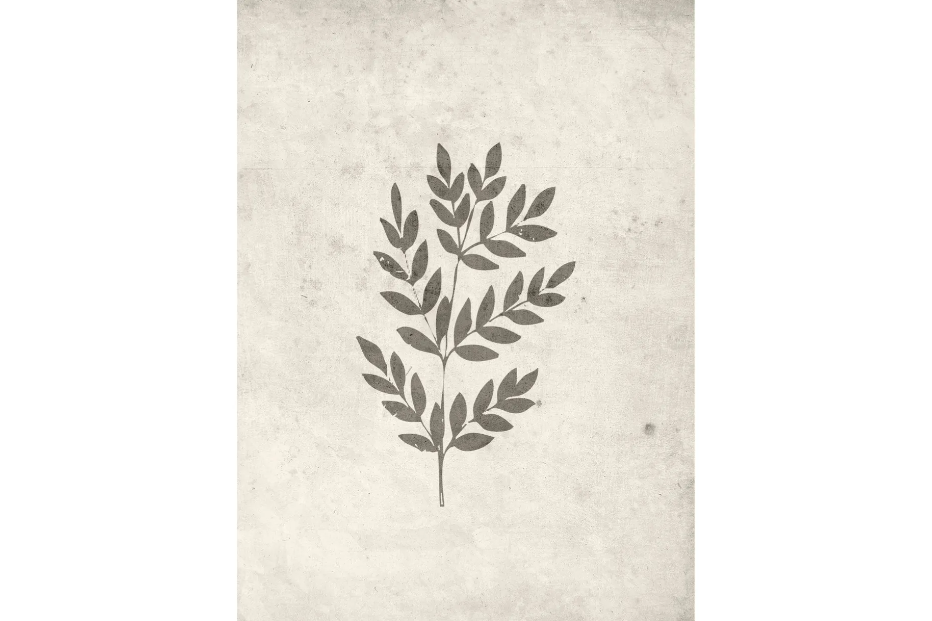 Poster Spring leaf 70x100 cm