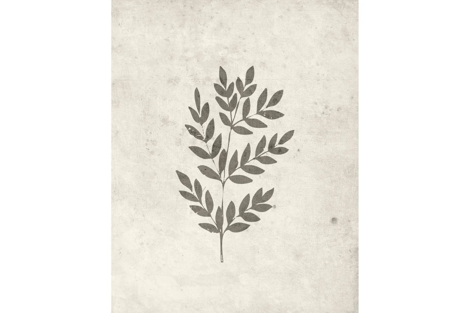 Poster Spring leaf 30x40 cm