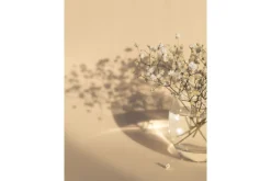 Poster White Flowers 21x30 cm