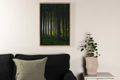 Poster Woods 70x100 cm