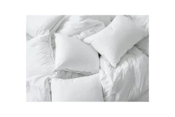Pute Hotellpute