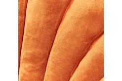 Pynteputer Consolida Oransje