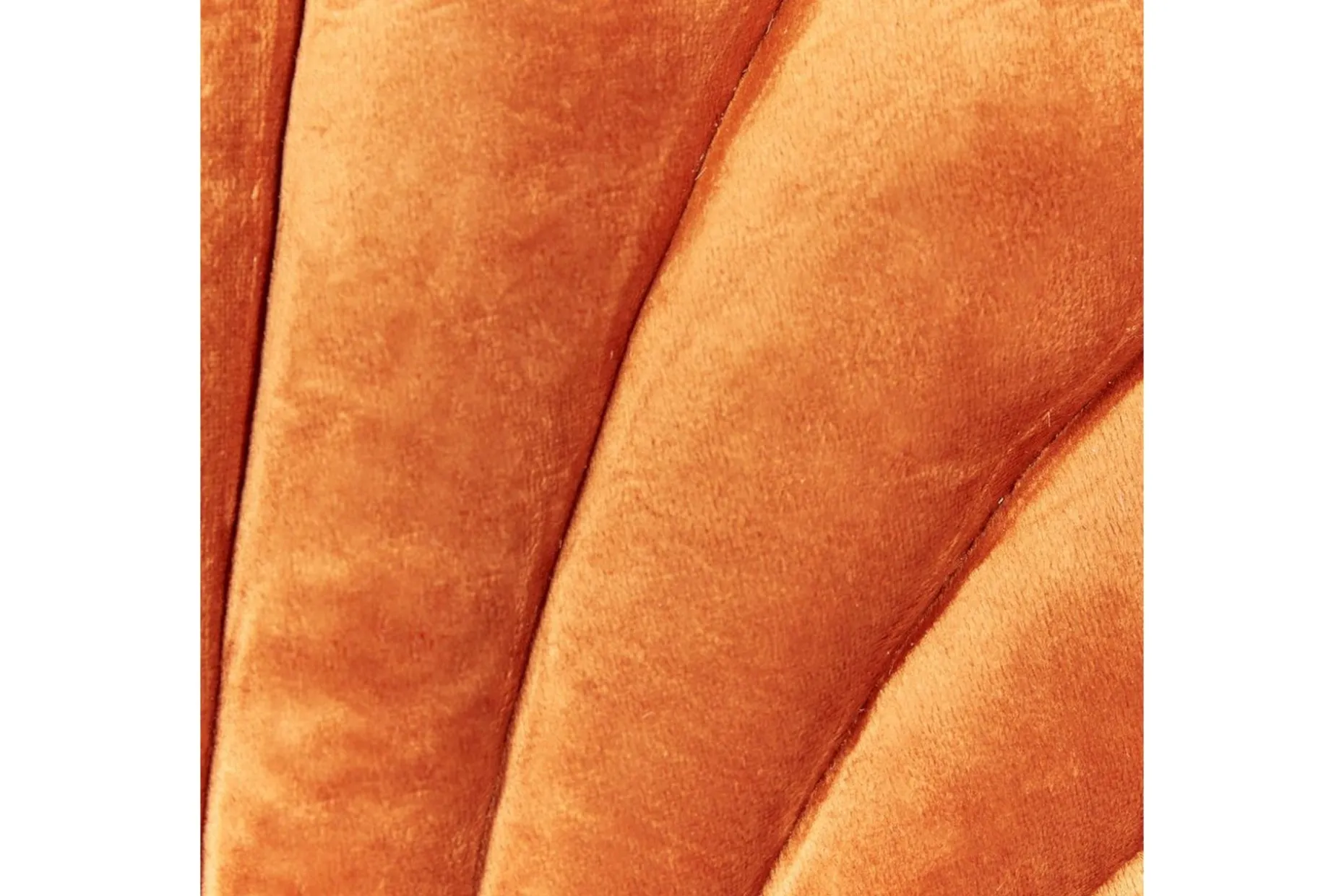 Pynteputer Consolida Oransje