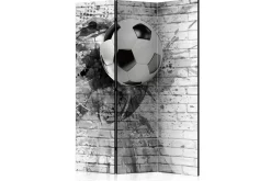 Romdeler Dynamic Football