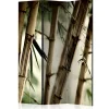 Romdeler Fog and Bamboo Forest
