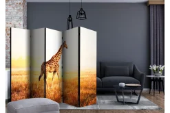Romdeler Giraffe - Walk II