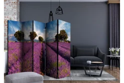 Romdeler Lavender Field in Provence, France II