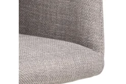 Salu Lenestol