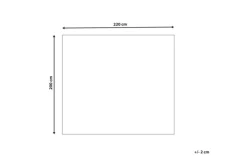 Sengeteppe Sitapur 220x200 cm