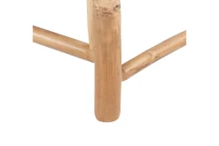 Solseng Ligure