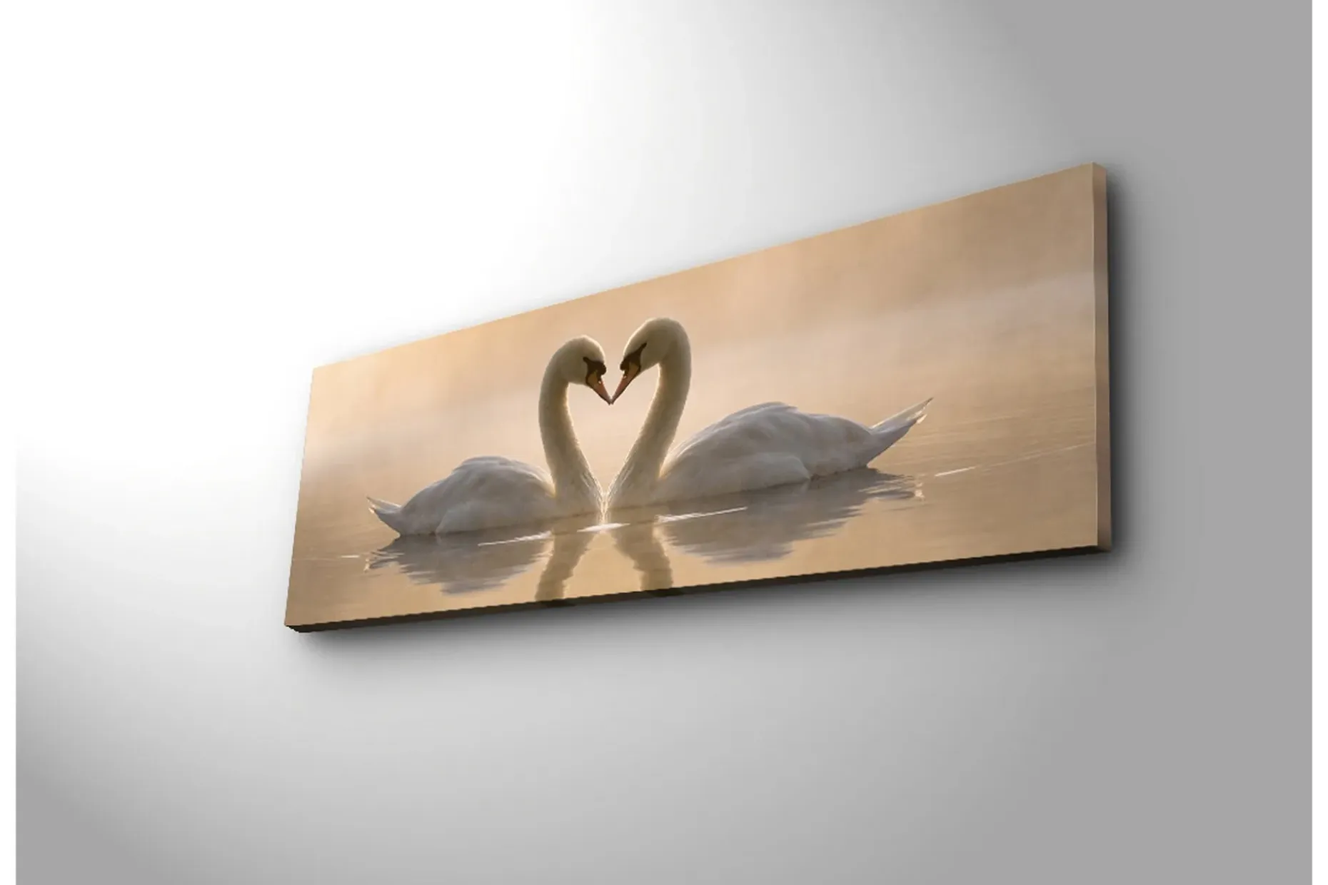 Stort lerretsbilde 90x30 cm - To svaner som danner et hjerte med halsen
