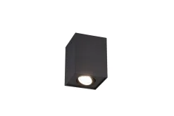 Trio Lighting Biscuit plafond GU10 matt svart