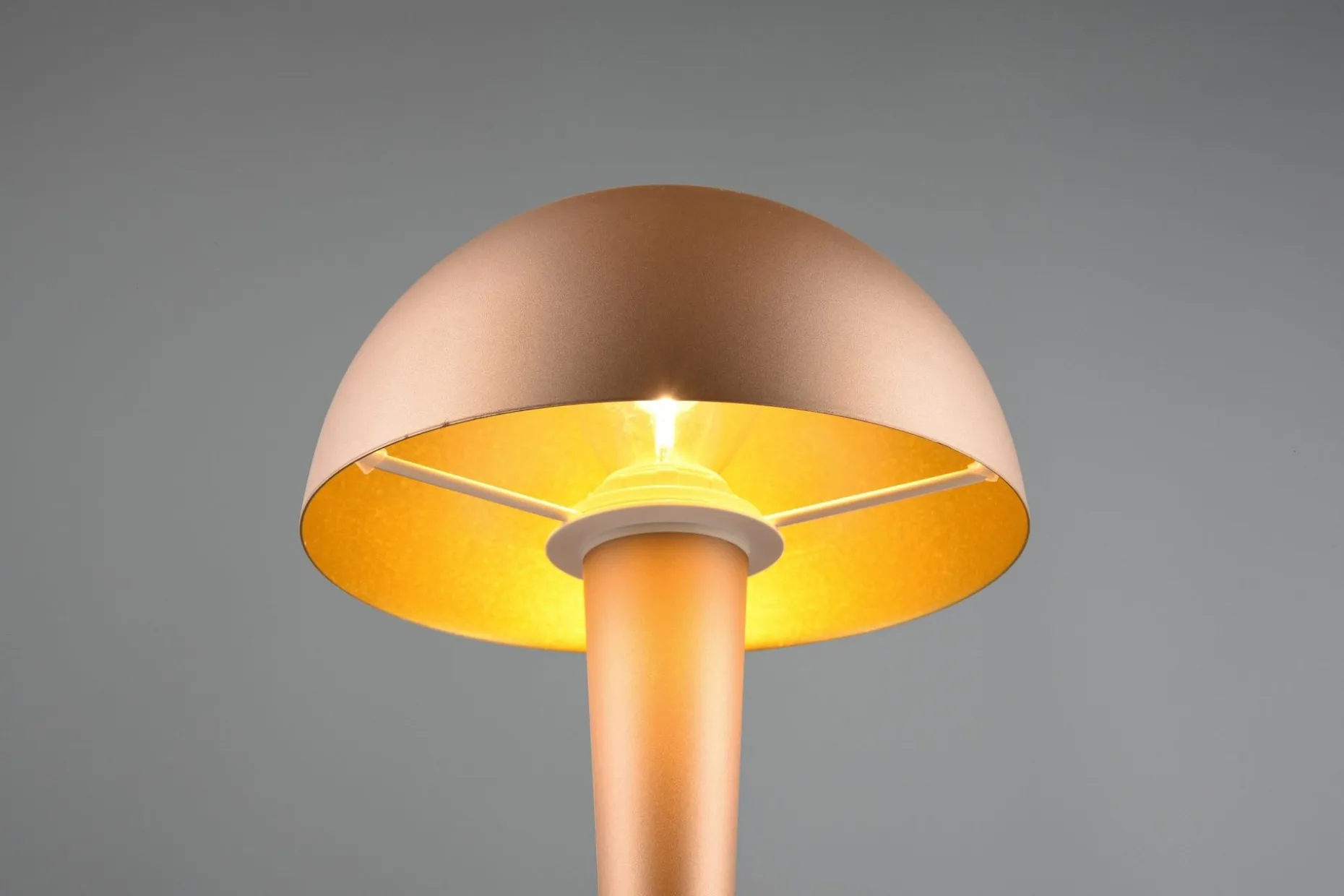 Trio Lighting Canaria bordlampe E14 (inkl.) kaffe brun