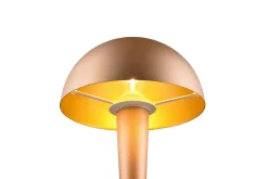 Trio Lighting Canaria bordlampe E14 (inkl.) kaffe brun