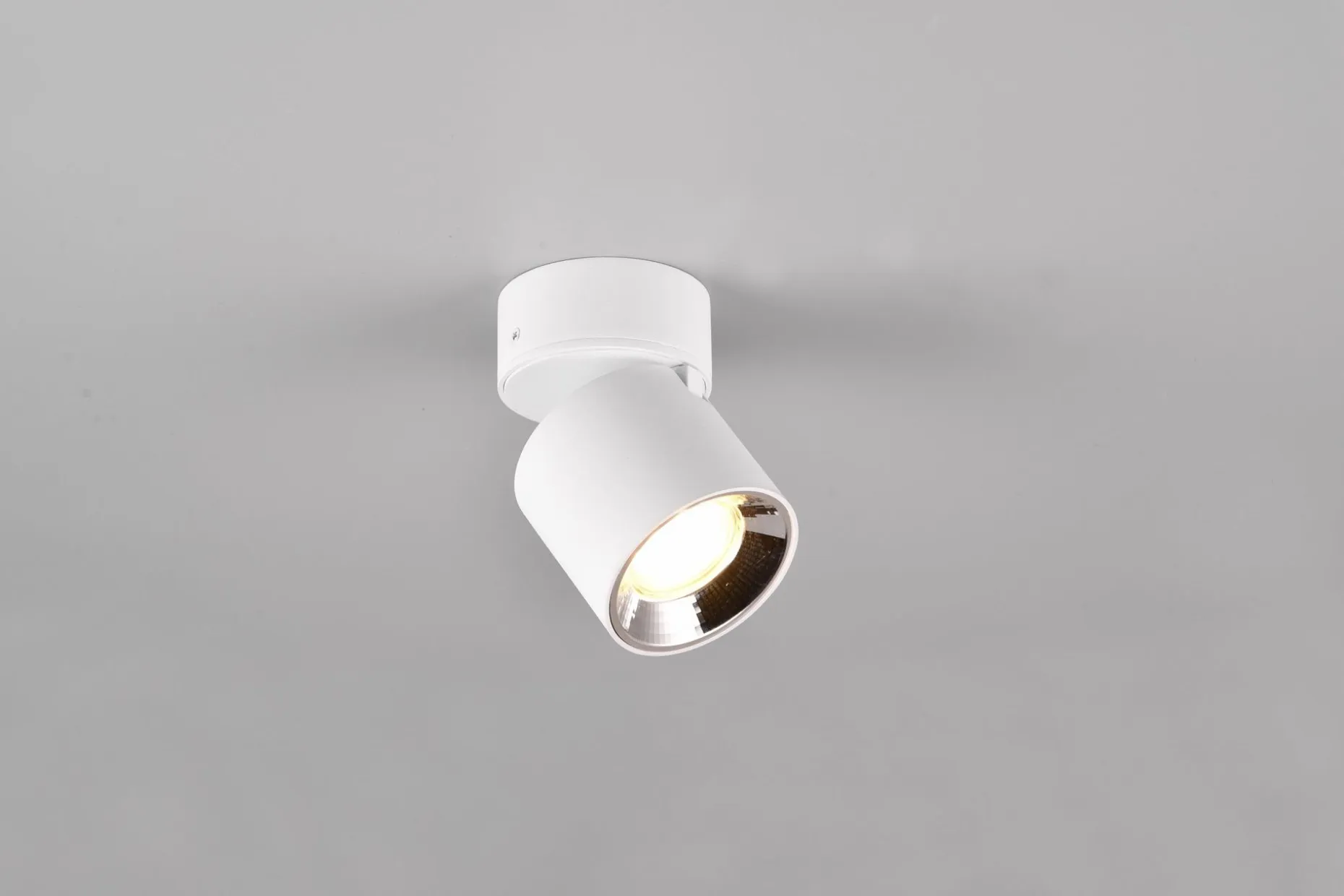 Trio Lighting Guayana Spotlight 1L GU10 Matt Hvit