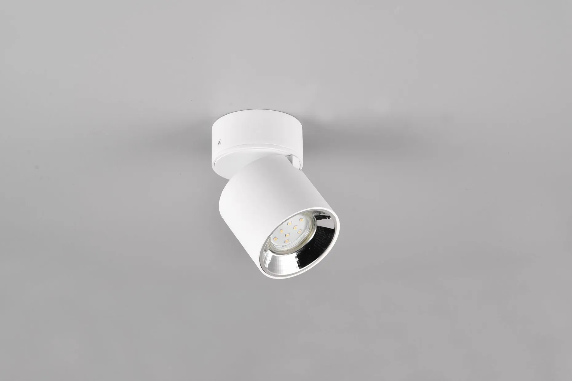 Trio Lighting Guayana Spotlight 1L GU10 Matt Hvit