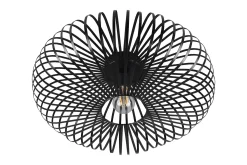 Trio Lighting Johann plafond E27 50 cm matt svart