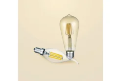 Trio Lighting LK LED E27 filament industrial 6W 420lm 2700K brun