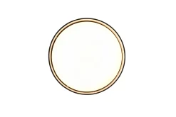 Trio Lighting Locarno LED plafond 28 cm svart