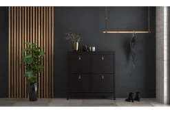 Vallvidera Skoskap 25x102 cm